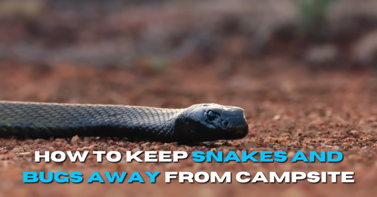 How to keep Snakes and Bugs away from campsite