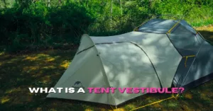 What is a Vestibule