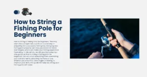 How to String a Fishing Pole for Beginners