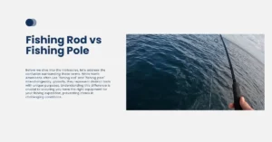 Fishing Rod vs Fishing Pole