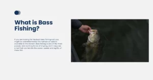 What is Bass Fishing