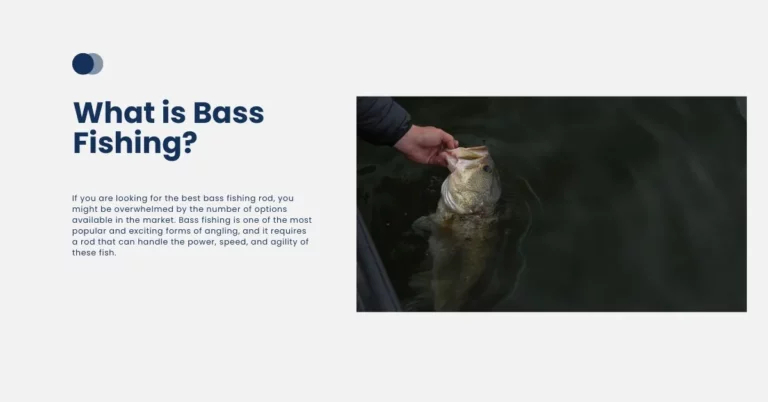 What is Bass Fishing