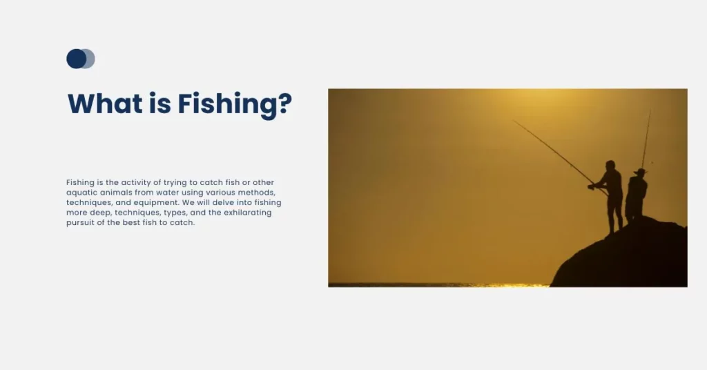 What is Fishing