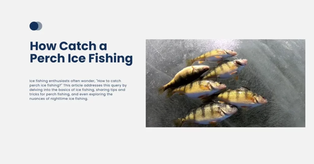 How Catch a Perch Ice Fishing