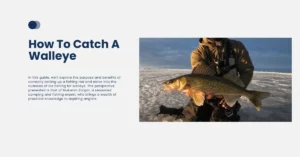 How To Catch A Walleye Ice Fishing
